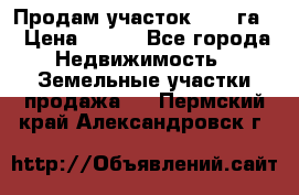 Продам участок 2,05 га. › Цена ­ 190 - Все города Недвижимость » Земельные участки продажа   . Пермский край,Александровск г.